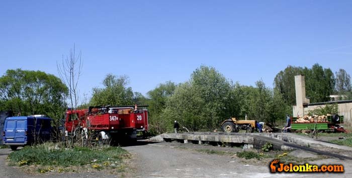 zator-z-powalonej-wierzby-grozi-podtopieniem-20818