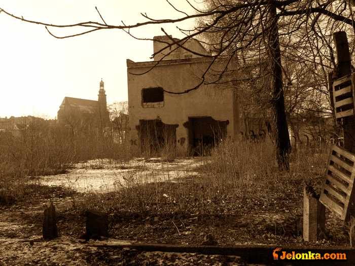 zwoki-w-ruinach-20840