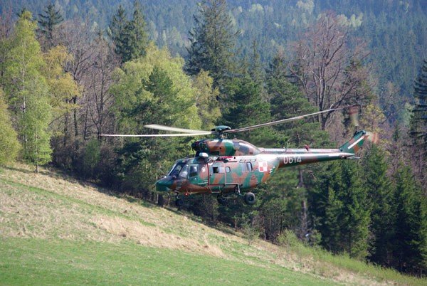 goprowcy-w-poszukiwaniu-tatusia-20906