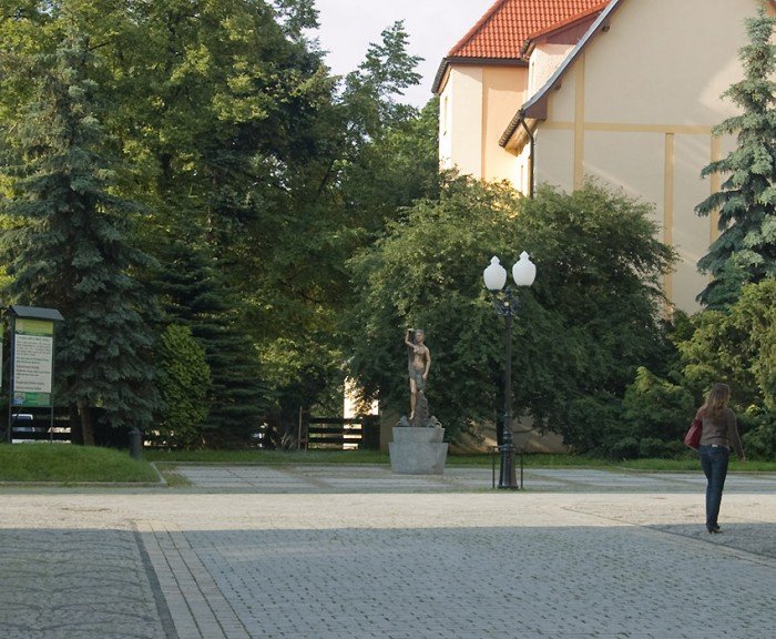 goraca-nimfa-zamiast-ptakodelfinow-21698