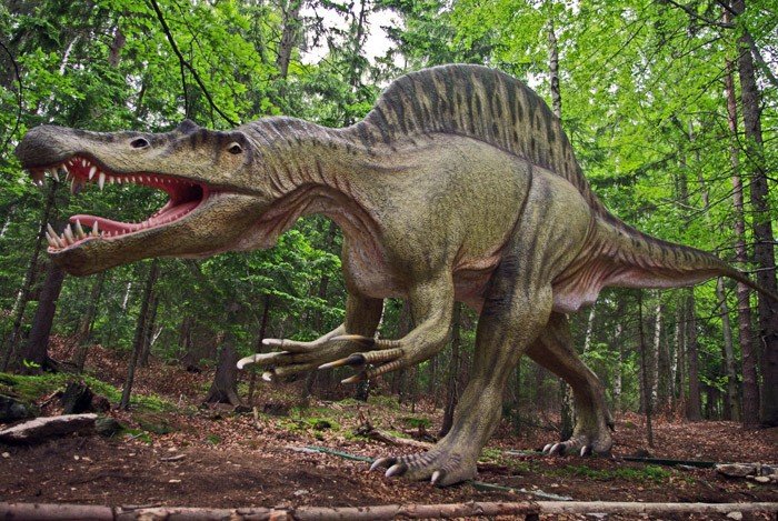 swojski-jurrasic-park-pod-kluczem-21746