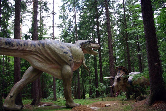 swojski-jurrasic-park-pod-kluczem-21746