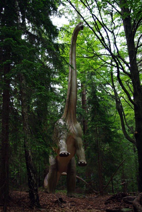 swojski-jurrasic-park-pod-kluczem-21746