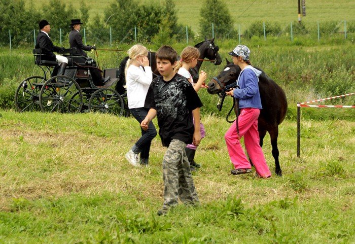 kon-piekny-jest-kazdy-widzi-video-21777