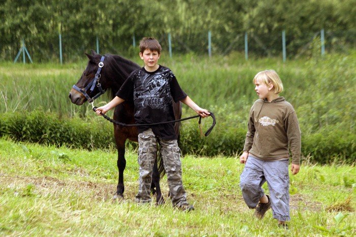 kon-piekny-jest-kazdy-widzi-video-21777