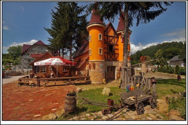 rosnie-kraina-darka-milinskiego-22020