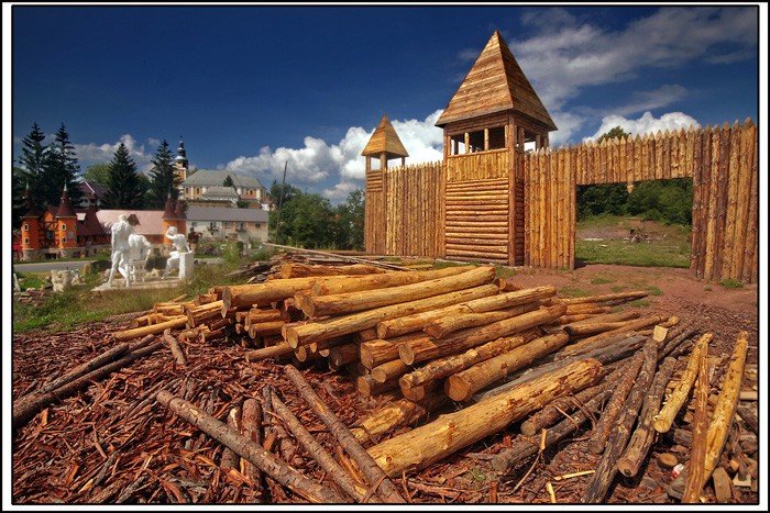 rosnie-kraina-darka-milinskiego-22020