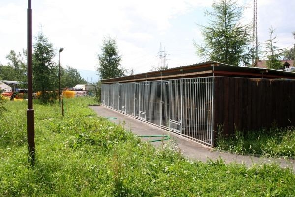 zwierzeta-do-lasow-i-koszy-na-smieci-22050