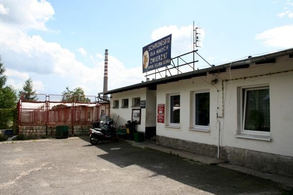 zwierzeta-do-lasow-i-koszy-na-smieci-22050