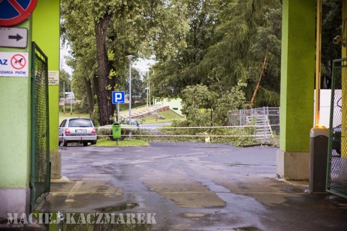 dzien-po-czyli-krajobraz-po-kataklizmie-22314
