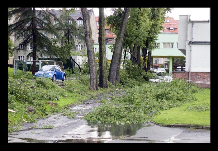 dzien-po-czyli-krajobraz-po-kataklizmie-22314