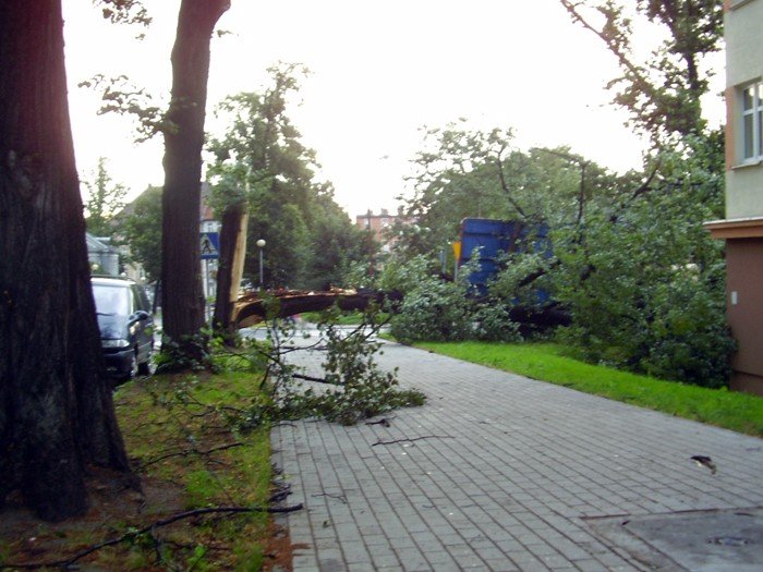 dzien-po-czyli-krajobraz-po-kataklizmie-22314
