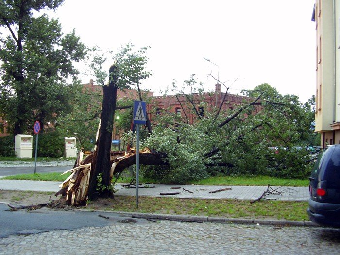 dzien-po-czyli-krajobraz-po-kataklizmie-22314