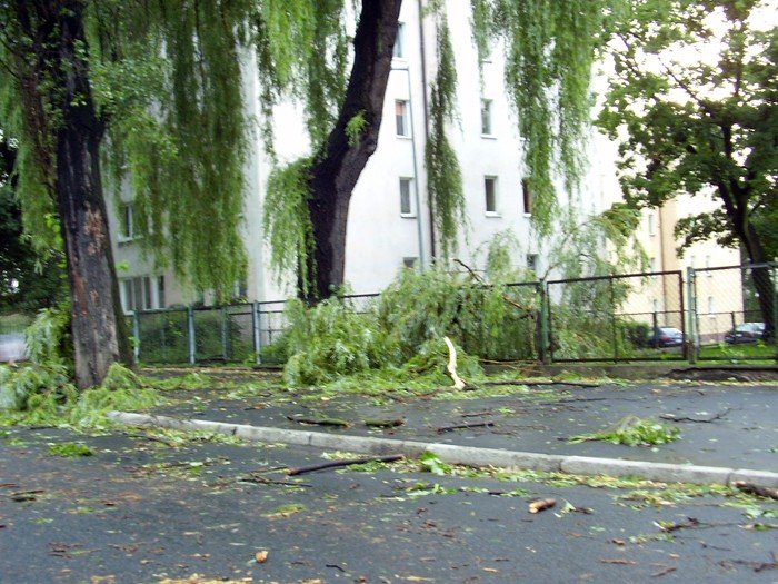 dzien-po-czyli-krajobraz-po-kataklizmie-22314