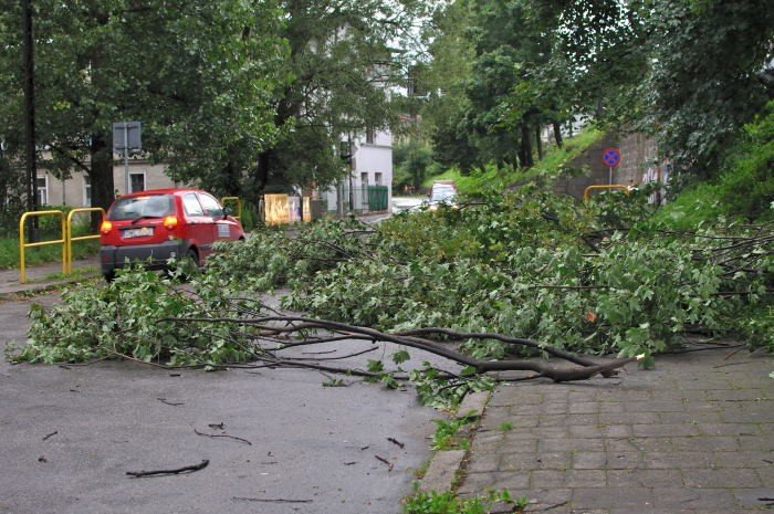 dzien-po-czyli-krajobraz-po-kataklizmie-22314