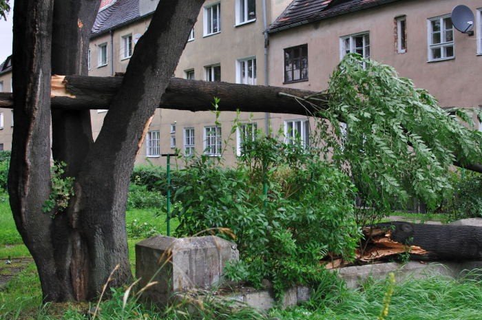 dzien-po-czyli-krajobraz-po-kataklizmie-22314