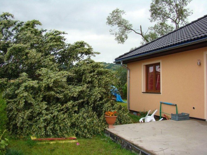 dzien-po-czyli-krajobraz-po-kataklizmie-22314