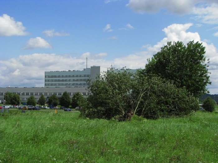 zabobrze-leczy-rany-po-nawanicy-22352