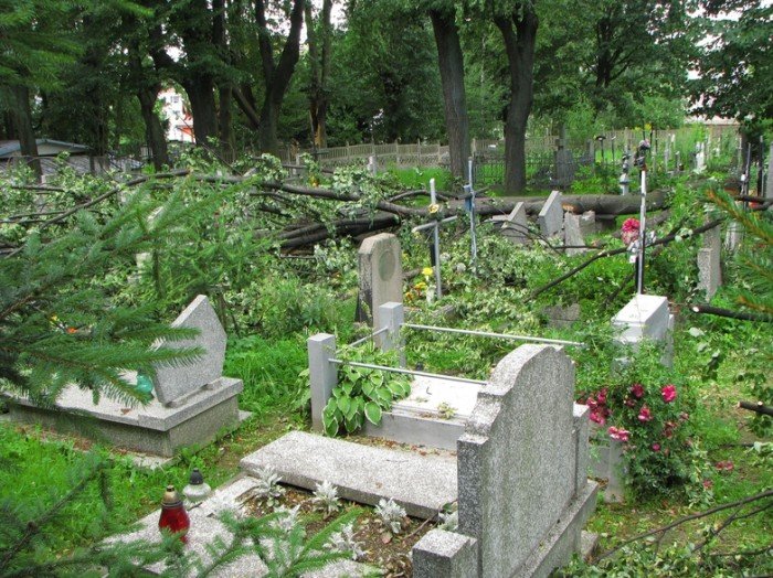 zabobrze-leczy-rany-po-nawanicy-22352