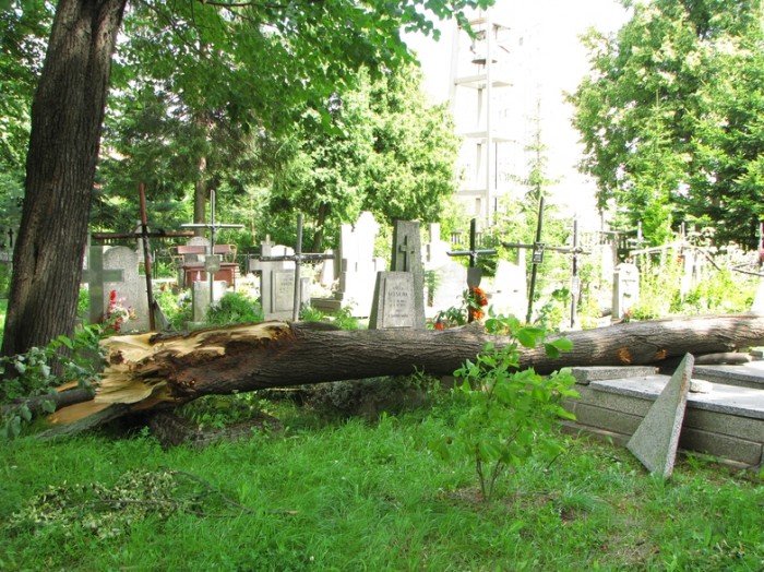 zabobrze-leczy-rany-po-nawanicy-22352