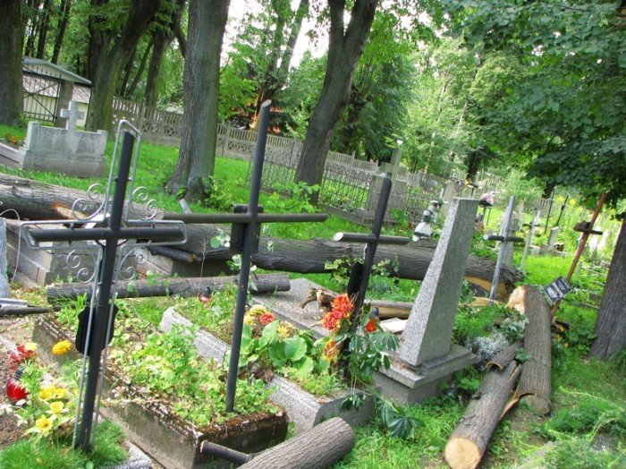 zabobrze-leczy-rany-po-nawanicy-22352