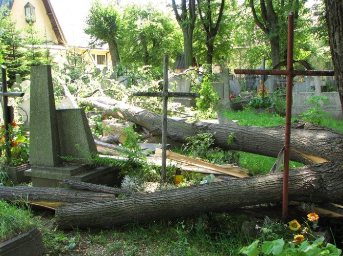 zabobrze-leczy-rany-po-nawanicy-22352