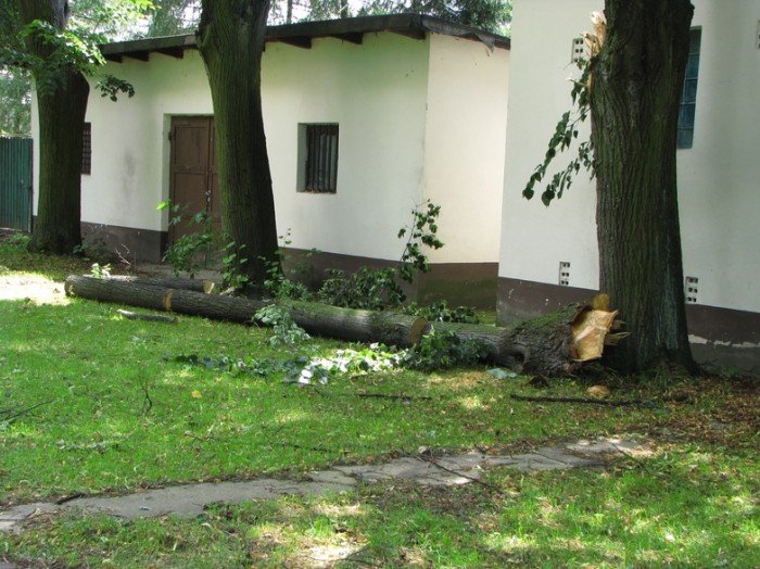 zabobrze-leczy-rany-po-nawanicy-22352