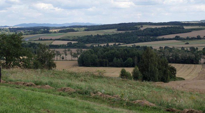 pilnuja-jego-szlakow-22374