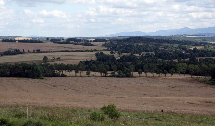 pilnuja-jego-szlakow-22374