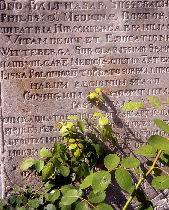 pieknieje-cieplicka-fara-22404