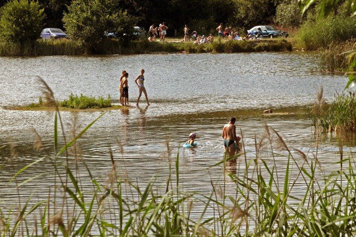 dzikie-kapieliska-czyste-ale-z-glonami-22457