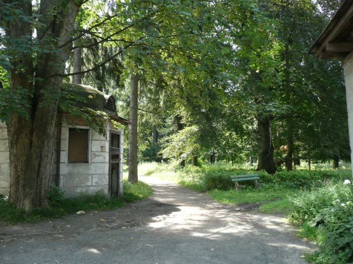parki-w-kotlinie-jeleniogorskiej-dziczeja-22621