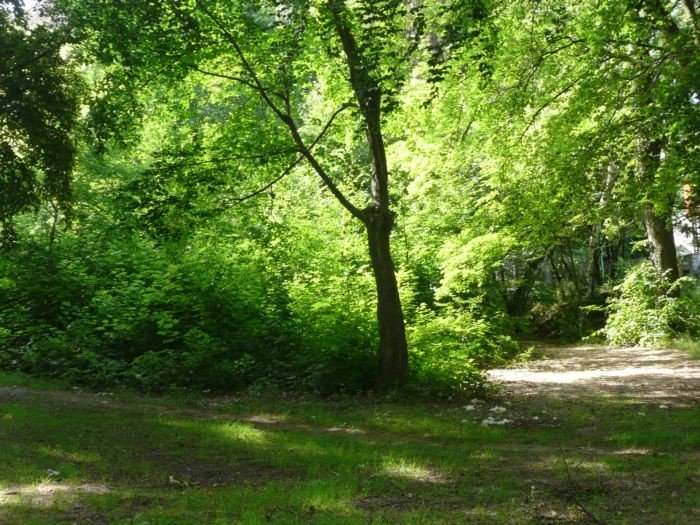 parki-w-kotlinie-jeleniogorskiej-dziczeja-22621