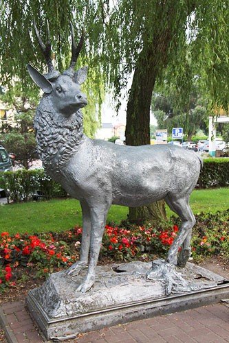 rogacz-nad-batykiem-22642