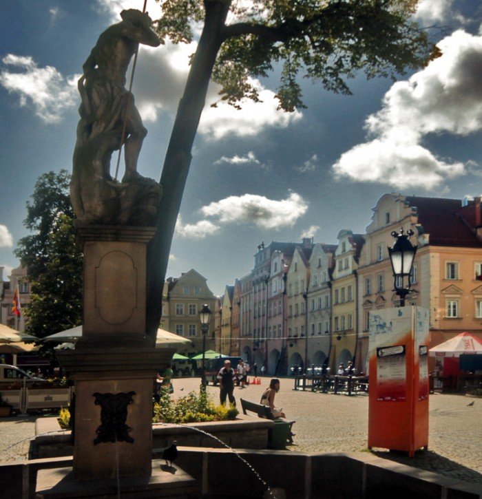 rozwiazanie-fotozagadki-to-podcienia-zbozowe-22728