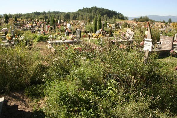 mogiy-woaja-o-pomste-do-nieba-22784