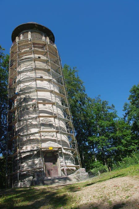 grzybek-odzyska-dawny-blask-22846