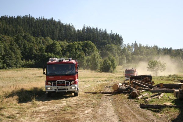 pona-las-w-karpnikach-22952