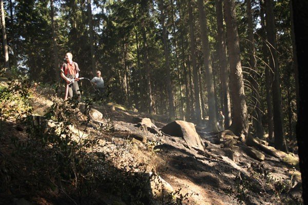 pona-las-w-karpnikach-22952