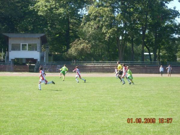 udany-start-modzikow-chojnika-22989