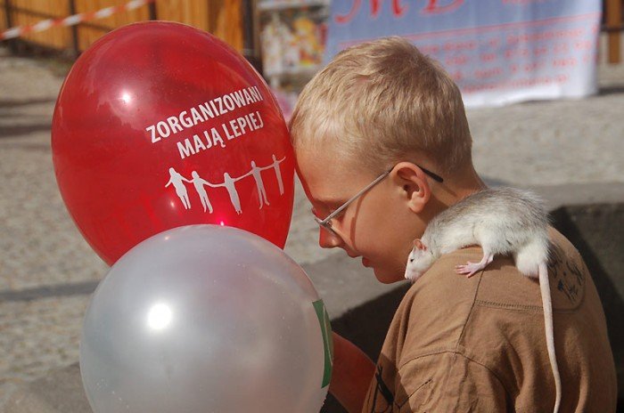 wszyscy-biegali-solidarnie-23092