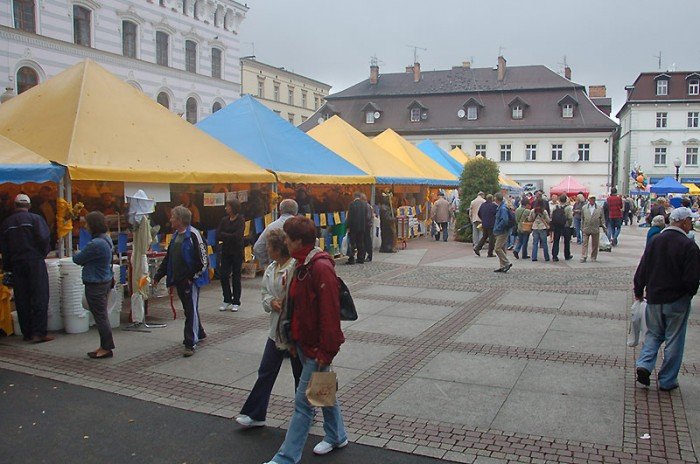 miodowe-swieto-w-deszczu-i-chodzie-23163