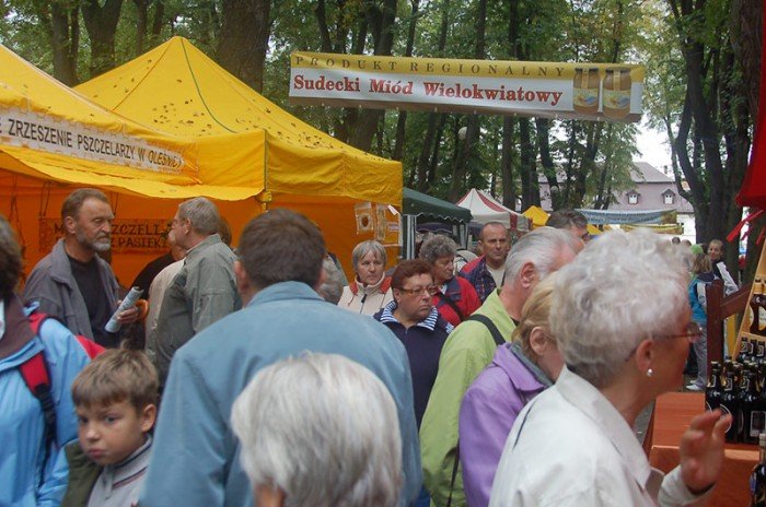 miodowe-swieto-w-deszczu-i-chodzie-23163