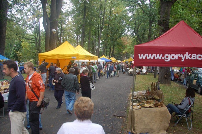 miodowe-swieto-w-deszczu-i-chodzie-23163