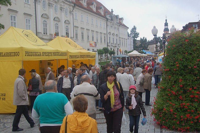 miodowe-swieto-w-deszczu-i-chodzie-23163