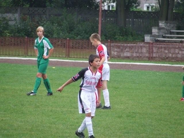 chojnik-lepszy-od-ora-23270