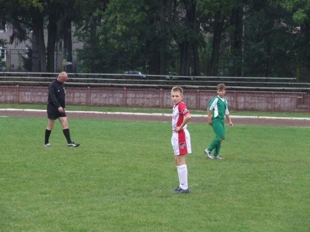 chojnik-lepszy-od-ora-23270