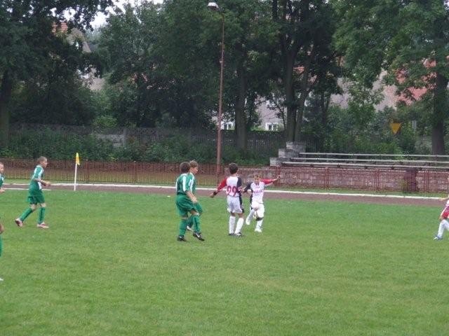 chojnik-lepszy-od-ora-23270