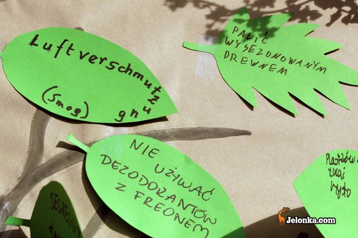 jak-oczyscic-brudny-swiat-23304