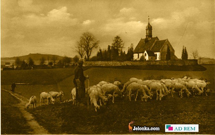 fotozagadka-jelonki-z-wydawnictwem-ad-rem-23334